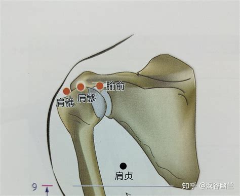 肩ㄩˊ穴|醫砭 » 經穴庫 » 肩髃